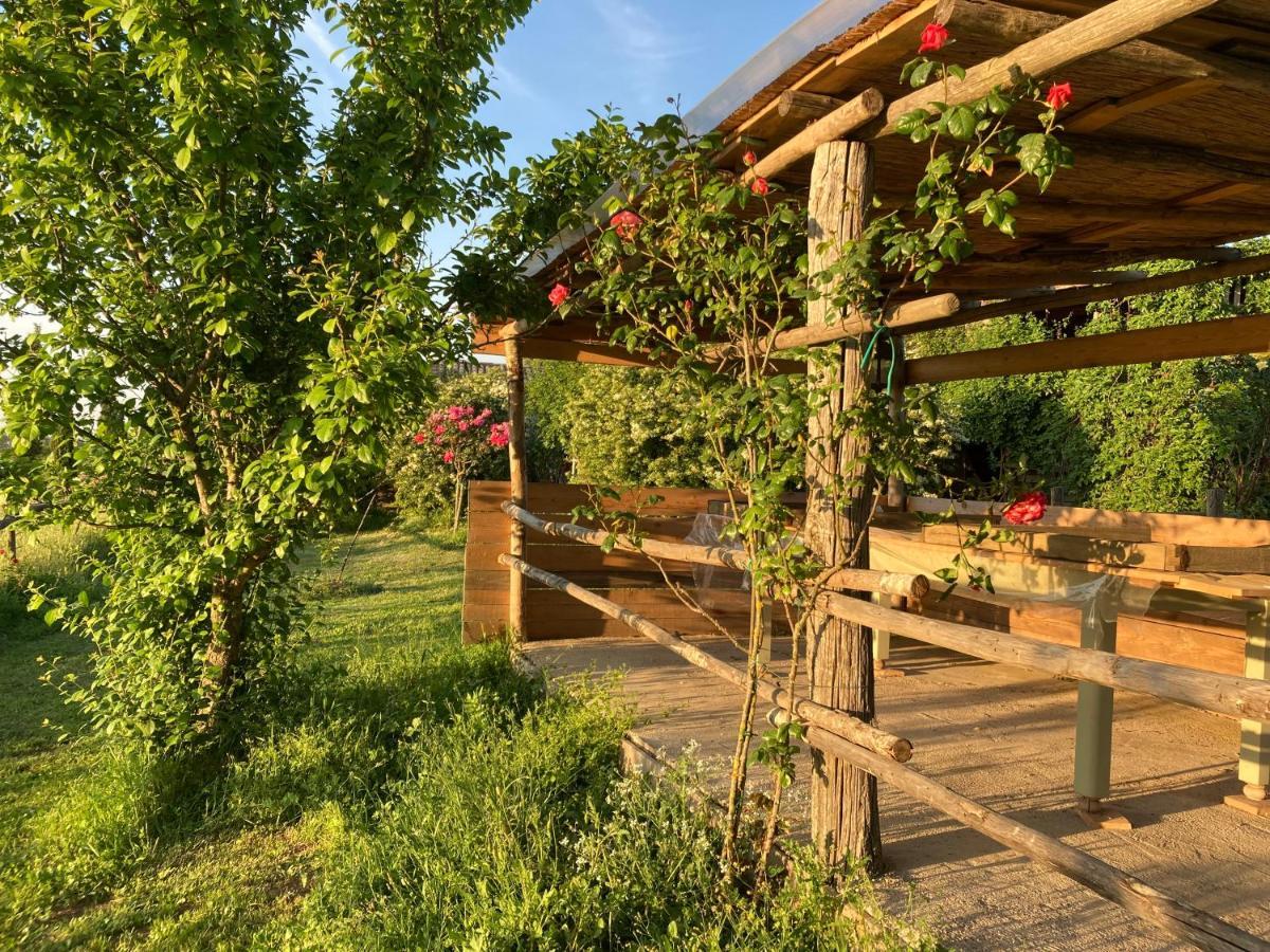 Podere Delle Rose Torre San Severo المظهر الخارجي الصورة