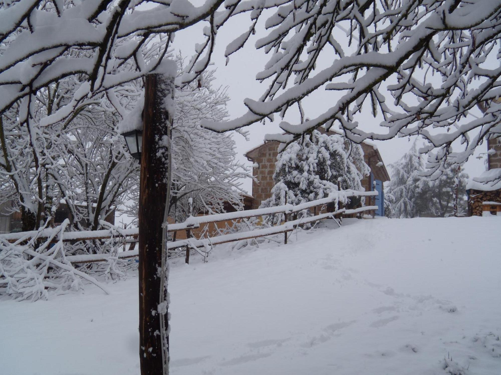 Podere Delle Rose Torre San Severo المظهر الخارجي الصورة